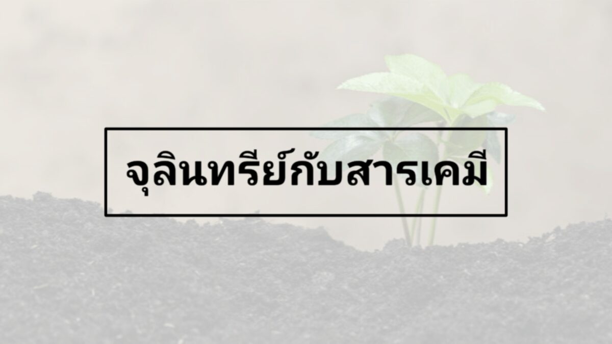 จุลินทรีย์กับสารเคมี ใช้ร่วมกันได้ไหม ?