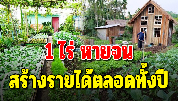 เกษตรแบบพอเพียง แบ่งพื้นที่ 1 ไร่ ให้หายจน – Four Farm