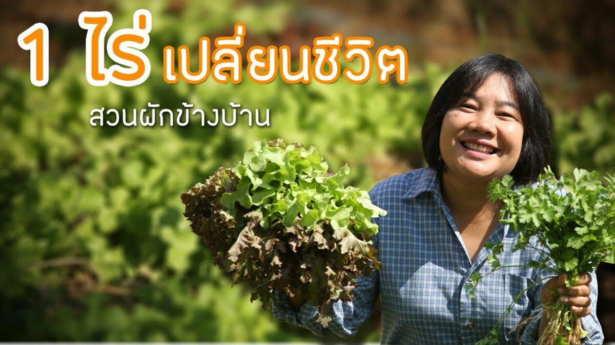 สวนเกษตร 1 ไร่ เปลี่ยนชีวิต