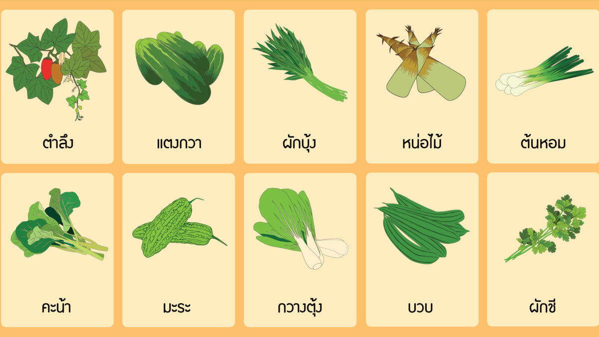 การปลูกและการดูแลพืชผักในฤดูฝน